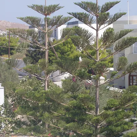 Manos Mégas Yialós-Nítes